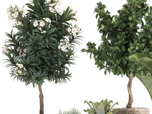 set of plants in pots banana lemon tree 1107 3D Model
