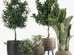 set of plants in pots banana lemon tree 1107 3D Model