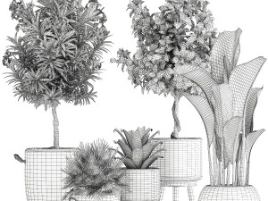 set of plants in pots banana lemon tree 1107 3D Model