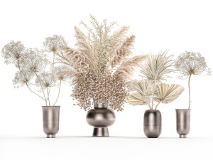 set of bouquets of dried flowers pampas grass 236 3D Модель