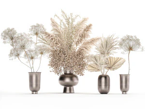set of bouquets of dried flowers pampas grass 236 3D Model