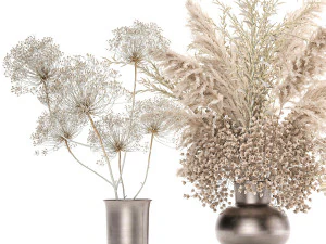 set of bouquets of dried flowers pampas grass 236 3D Model