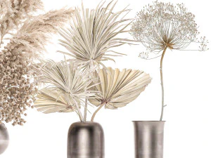 set of bouquets of dried flowers pampas grass 236 3D Model