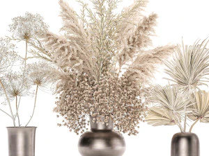 set of bouquets of dried flowers pampas grass 236 3D Model