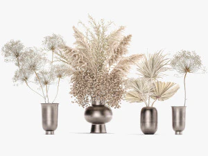 set of bouquets of dried flowers pampas grass 236 3D Model