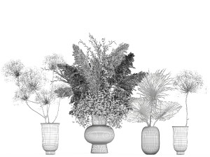 set of bouquets of dried flowers pampas grass 236 3D Модель