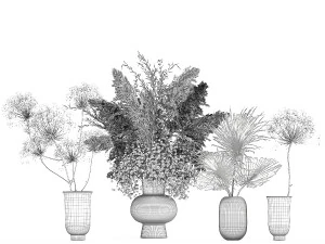 set of bouquets of dried flowers pampas grass 236 3D Model