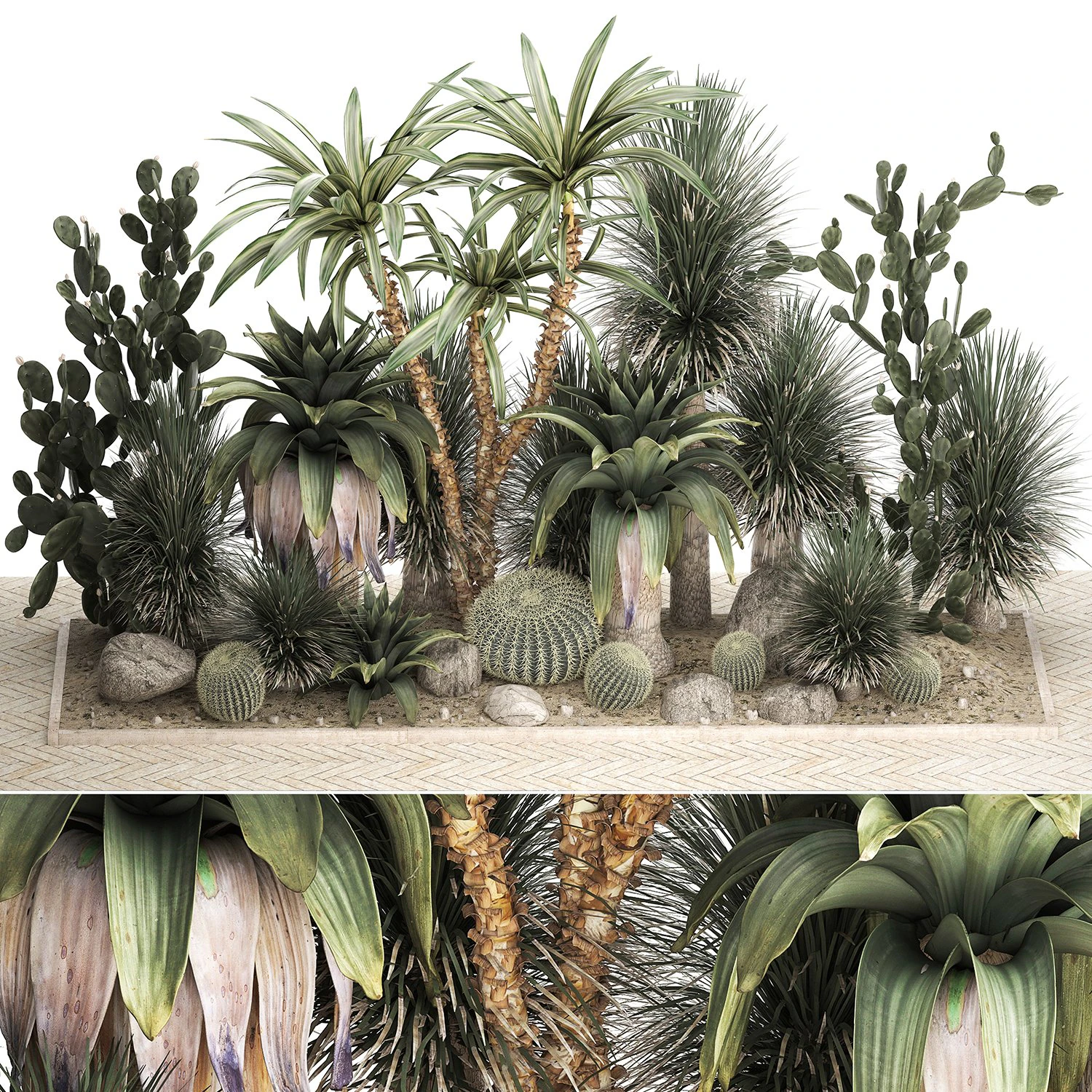 Collection of tropical desert plants 1108 3D Model .c4d .max .obj .3ds .fbx .stl .blend 