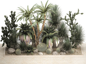 Collection of tropical desert plants 1108 3D 모델