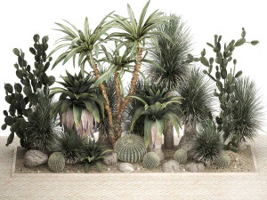 Collection of tropical desert plants 1108 3D Model