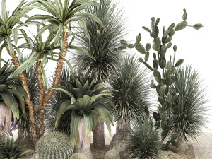 Collection of tropical desert plants 1108 3D Model