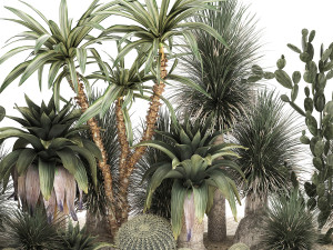 Collection of tropical desert plants 1108 3D 모델