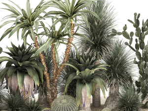 Collection of tropical desert plants 1108 3D Model