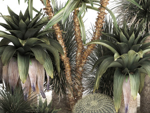 Collection of tropical desert plants 1108 3D 모델