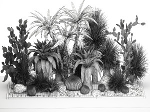 Collection of tropical desert plants 1108 3D 모델
