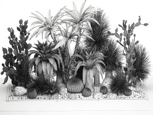 Collection of tropical desert plants 1108 3D Model