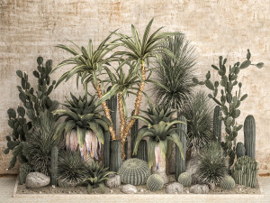 Collection of tropical desert plants 1108A 3D Model