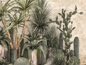 Collection of tropical desert plants 1108A 3D Model