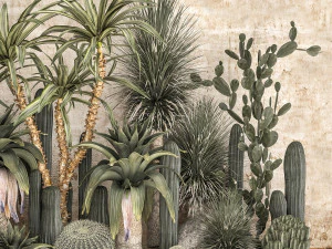 Collection of tropical desert plants 1108A 3D Model