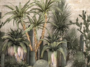 Collection of tropical desert plants 1108A 3D Model