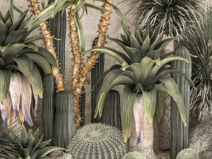Collection of tropical desert plants 1108A 3D Model