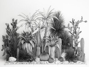 Collection of tropical desert plants 1108A 3D Model