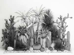 Collection of tropical desert plants 1108A 3D Model
