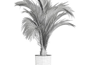 Decorative palm tree for the interior in a pot 1109 3D Model