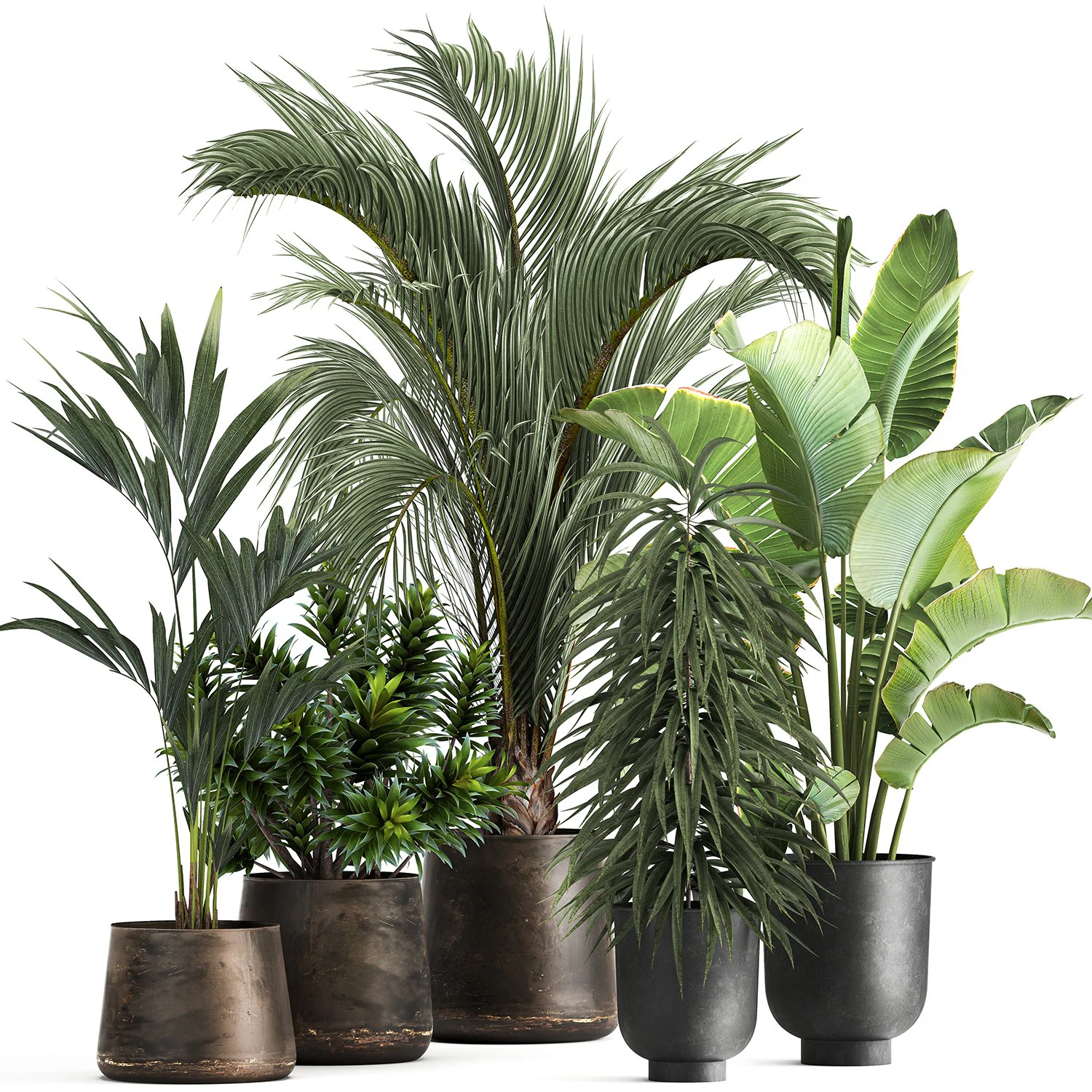Exotic plants in a metal flowerpot for the interior 1110 3D Model .c4d .max .obj .3ds .fbx .stl .blend 