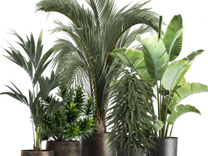 Piante esotiche in vaso da fiori in metallo per interni 1110 Modello 3D