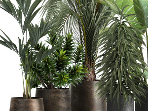 Exotic plants in a metal flowerpot for the interior 1110 3D Model