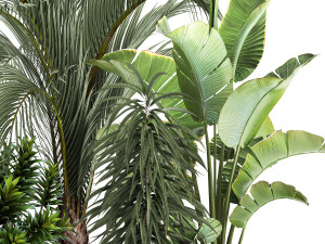Exotic plants in a metal flowerpot for the interior 1110 Modèle 3D