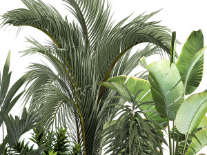 Exotic plants in a metal flowerpot for the interior 1110 Modèle 3D