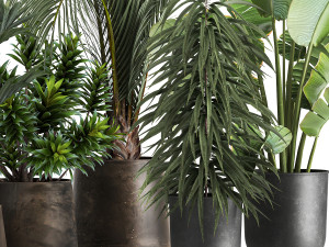 Exotic plants in a metal flowerpot for the interior 1110 Modèle 3D