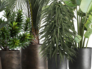 Exotic plants in a metal flowerpot for the interior 1110 3D Model