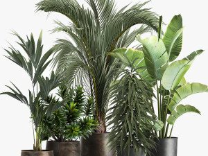 Exotic plants in a metal flowerpot for the interior 1110 3D Model
