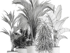Exotic plants in a metal flowerpot for the interior 1110 Modèle 3D