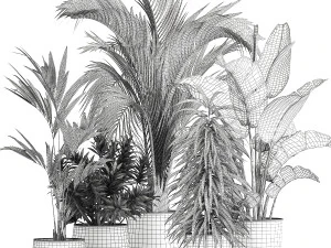 Exotic plants in a metal flowerpot for the interior 1110 3D Model