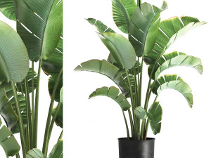 Palmeira Strelitzia em vaso loft para o interior 1111 Modelo 3D