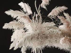 Hanging decor of their dried pampas grass 237 3D Model