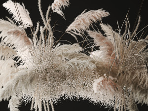Hanging decor of their dried pampas grass 237 3D Model