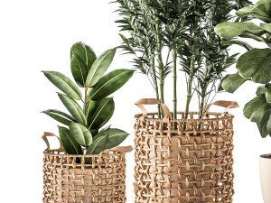 Bamboo and ficus in decorative baskets 1112 3D Model
