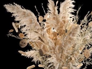 Luxury bouquet of reeds pampas grass and dried flowers 234 Modello 3D