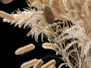 Luxury bouquet of reeds pampas grass and dried flowers 234 Modello 3D