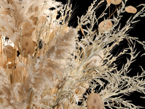 Luxury bouquet of reeds pampas grass and dried flowers 234 Modello 3D