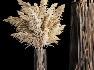 Bouquet Dried Flowers From Pampas Grass In A Vase 3D Models