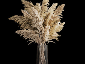 Bouquet Dried Flowers From Pampas Grass In A Vase 3D 모델