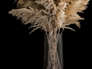 Bouquet Dried Flowers From Pampas Grass In A Vase 3D 모델