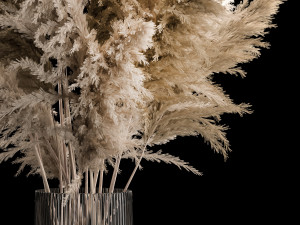 Bouquet Dried Flowers From Pampas Grass In A Vase 3D 모델