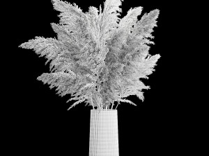 Bouquet Dried Flowers From Pampas Grass In A Vase 3D 모델